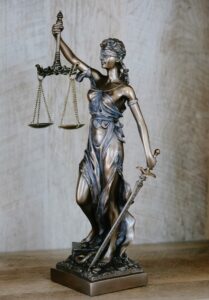 litigation lawyer erin mills